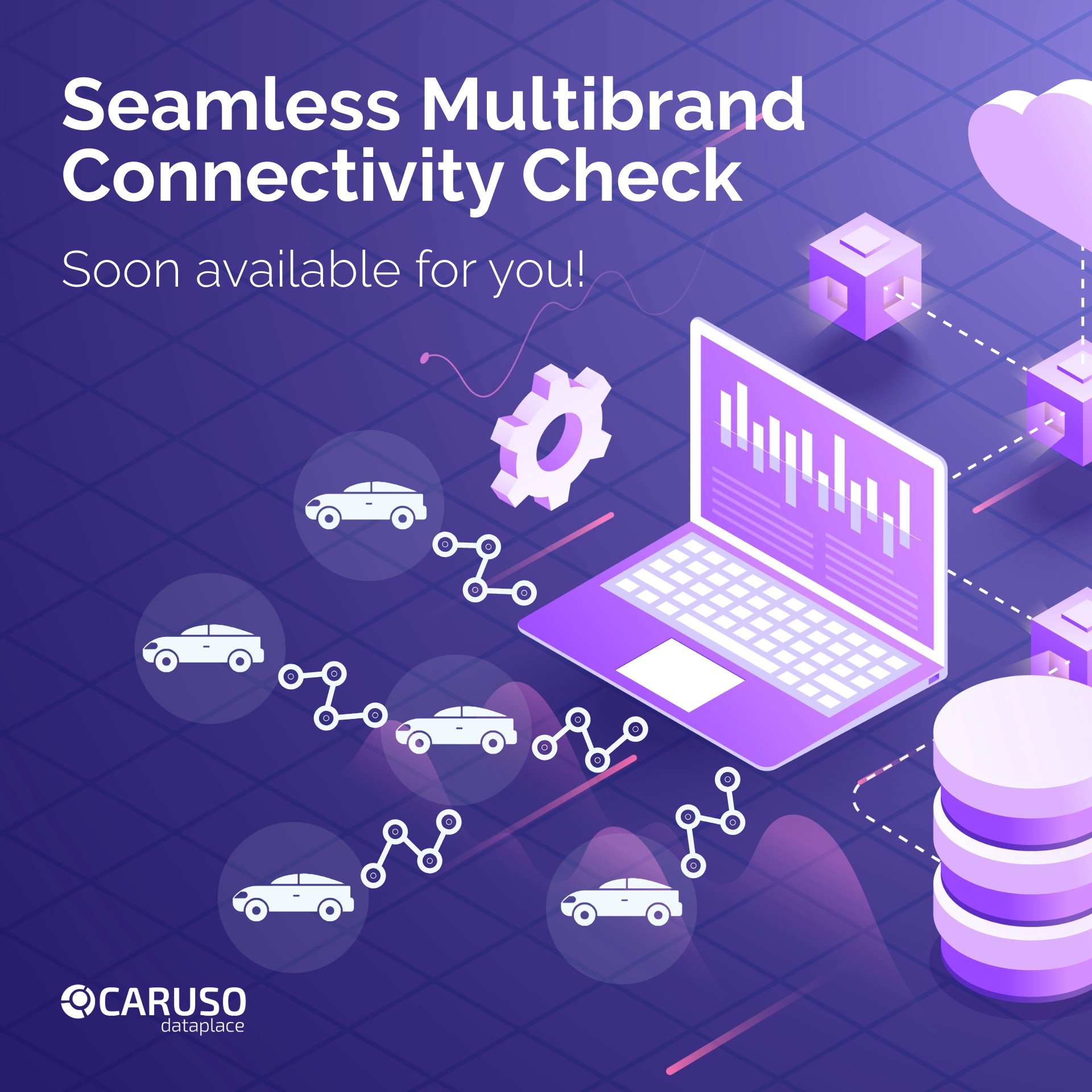 Connectivity Check